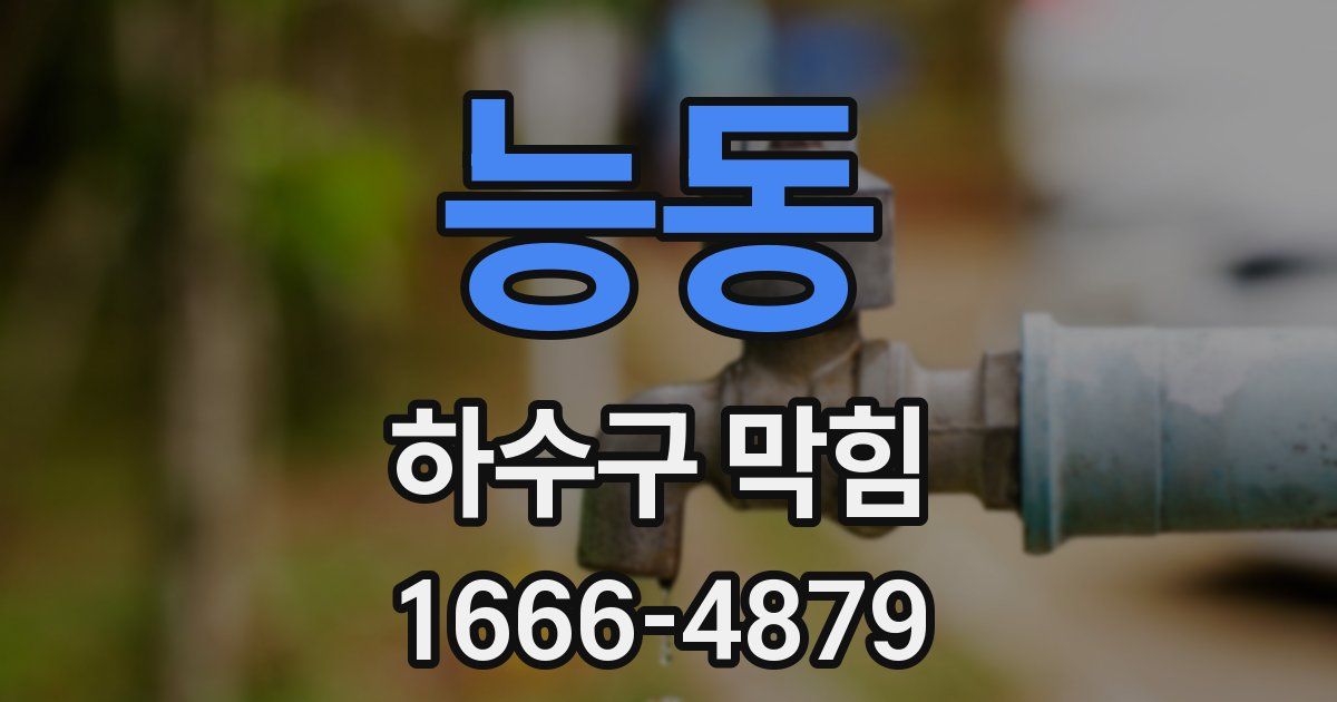 능동 하수구 막힘
