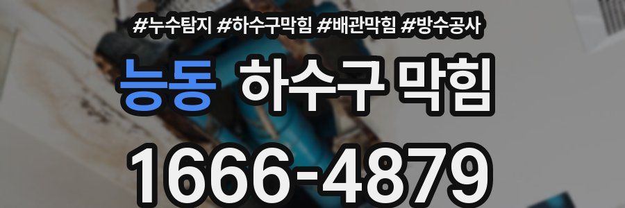능동 하수구 막힘