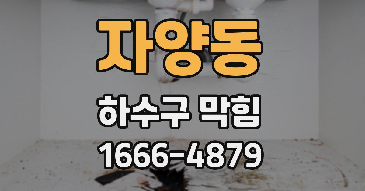 자양동 하수구 막힘