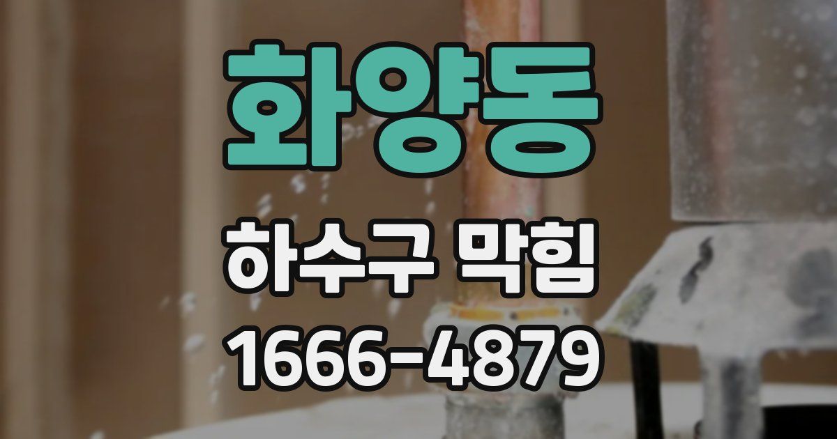 화양동 하수구 막힘