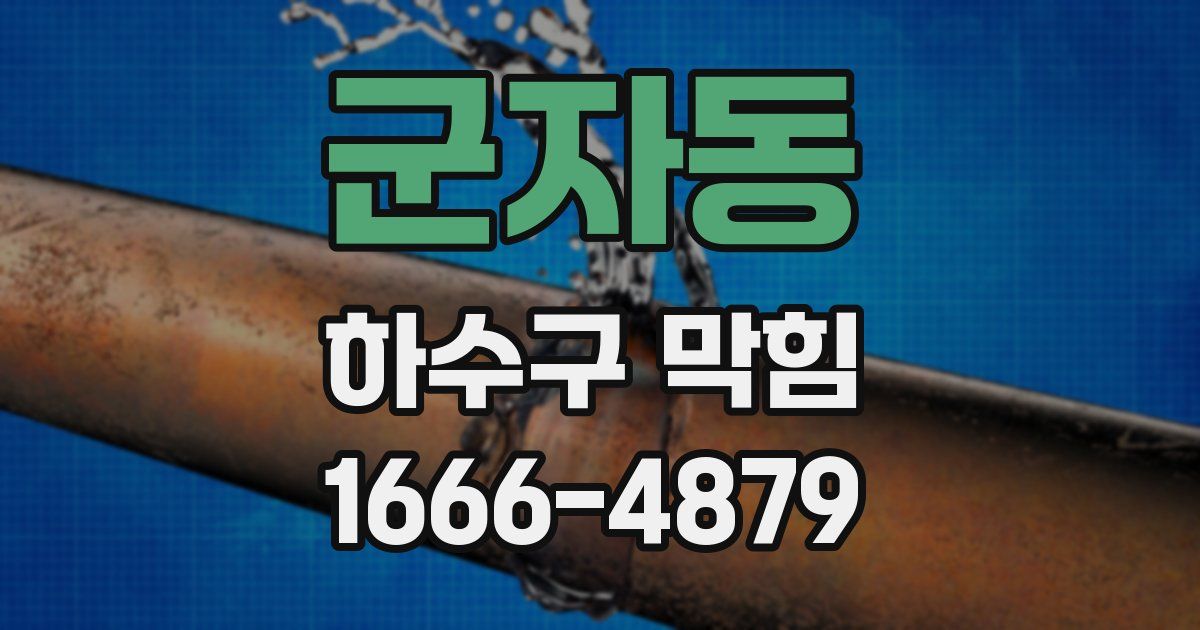 군자동 하수구 막힘