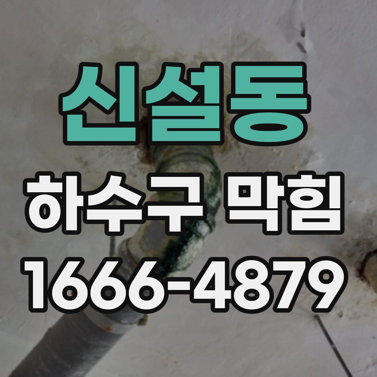 신설동 하수구 막힘