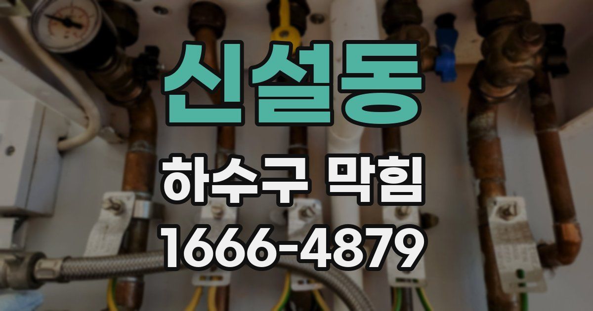 신설동 하수구 막힘
