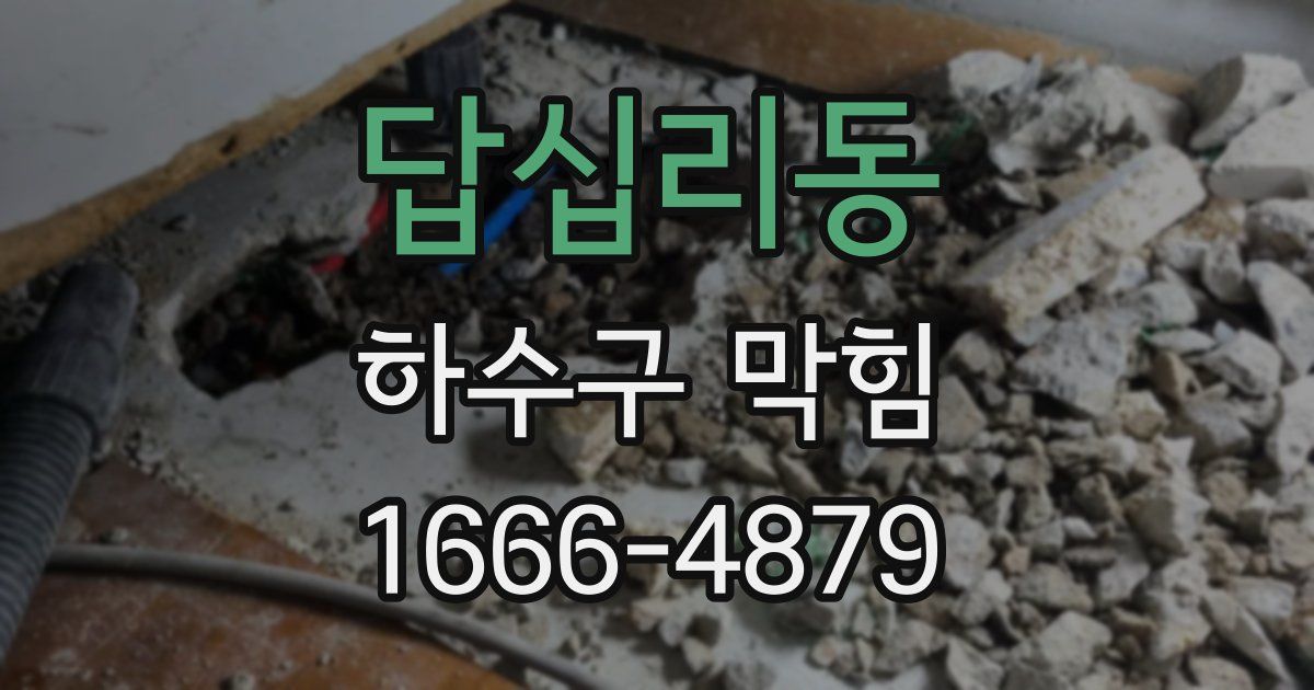 답십리동 하수구 막힘