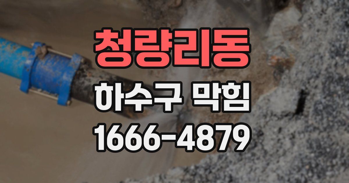 청량리동 하수구 막힘