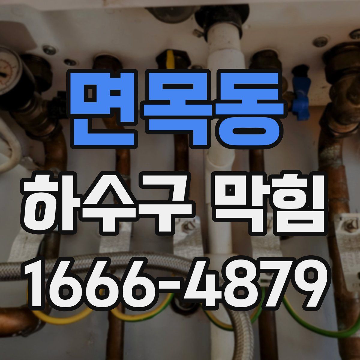 면목동 하수구 막힘
