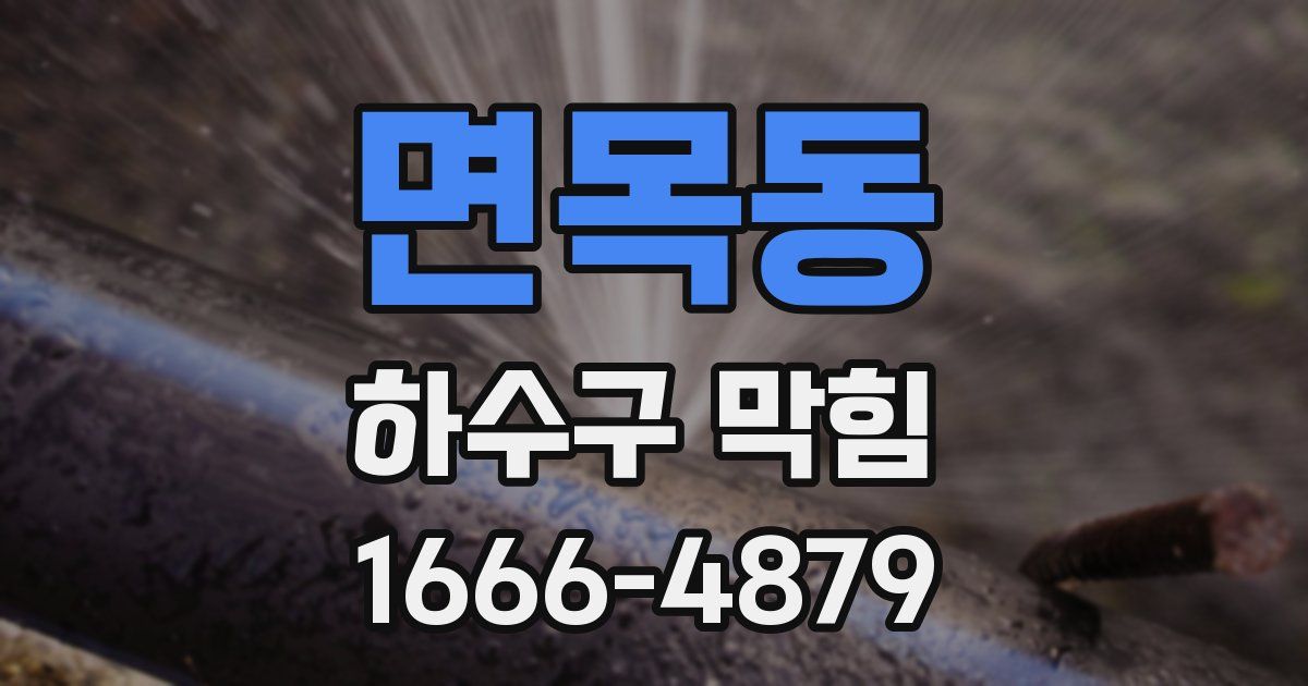 면목동 하수구 막힘