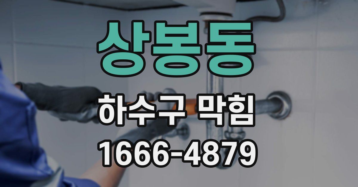 상봉동 하수구 막힘