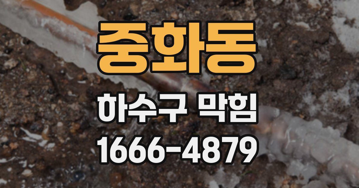 중화동 하수구 막힘