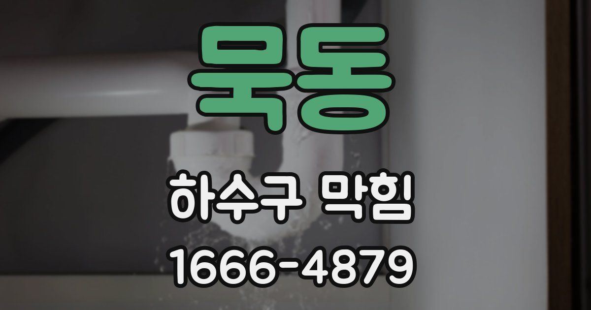 묵동 하수구 막힘