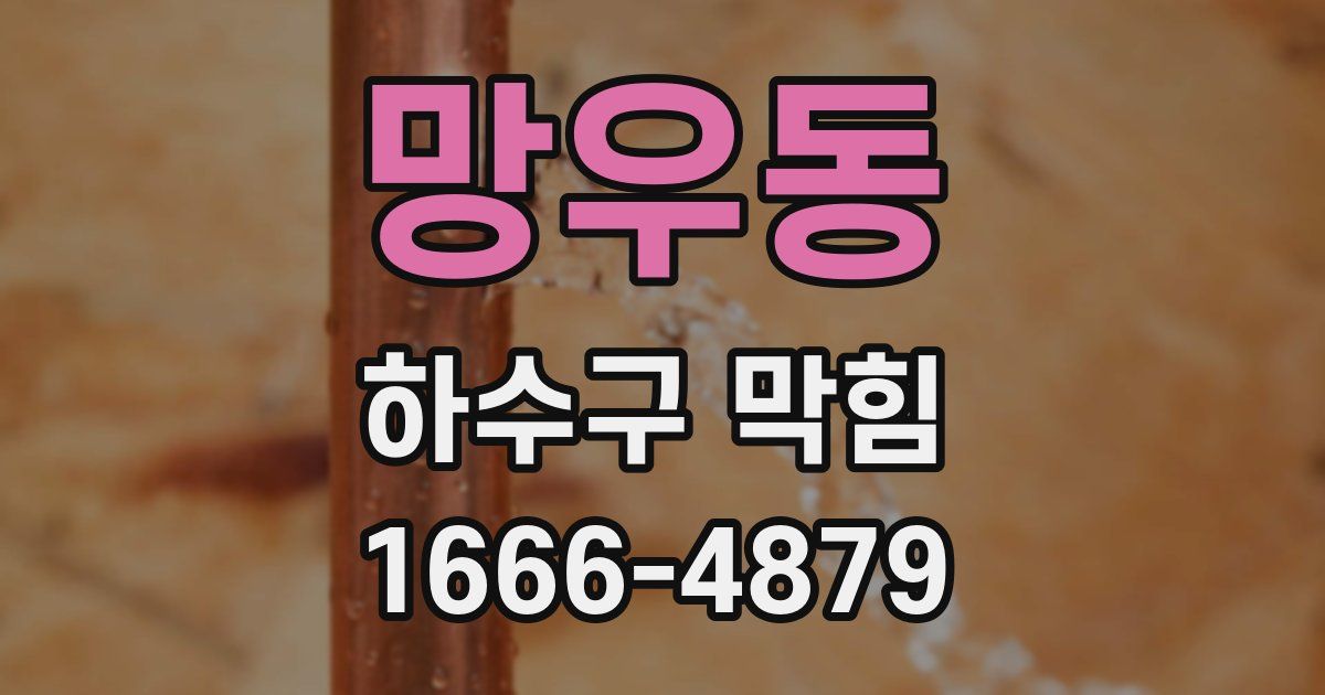 망우동 하수구 막힘