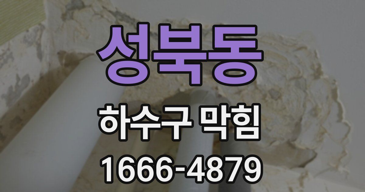 성북동 하수구 막힘