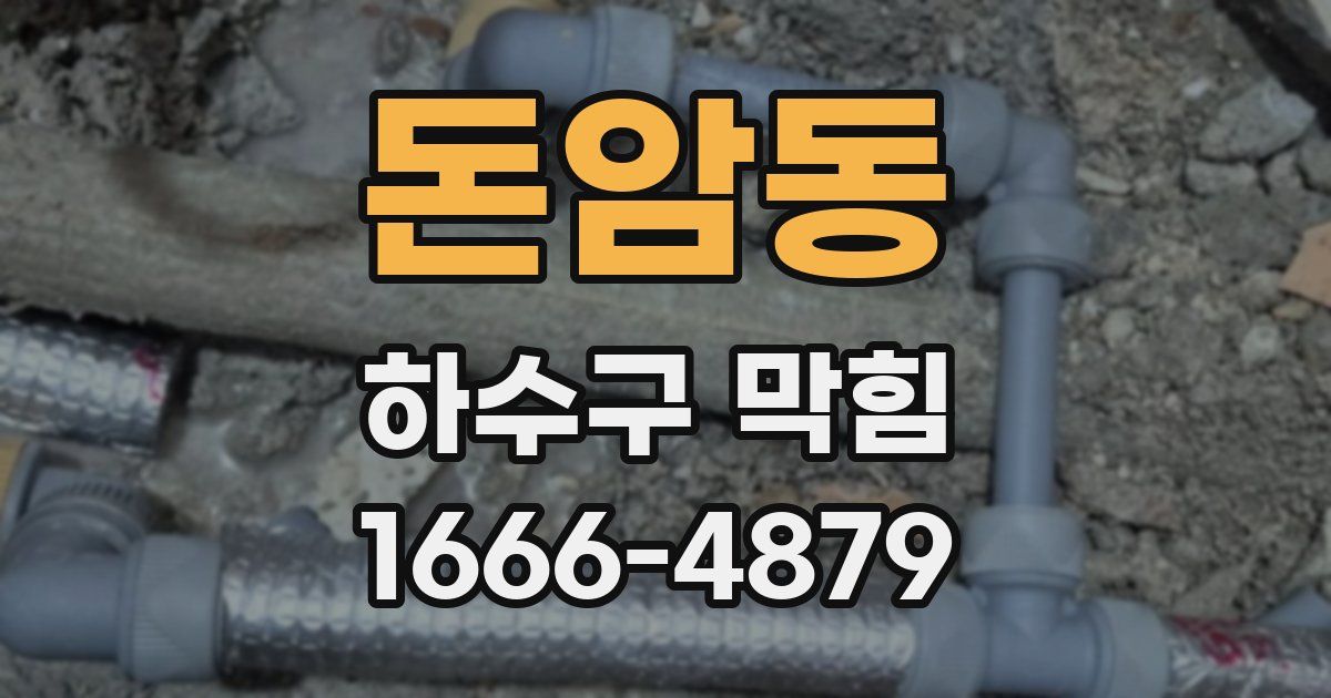 돈암동 하수구 막힘