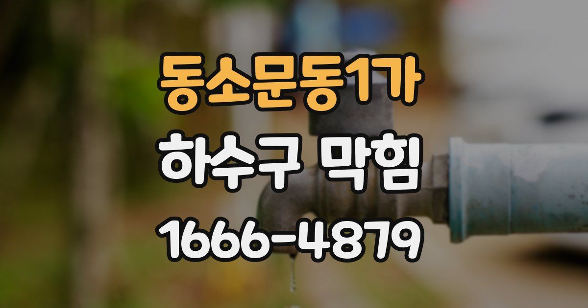 동소문동1가 하수구 막힘