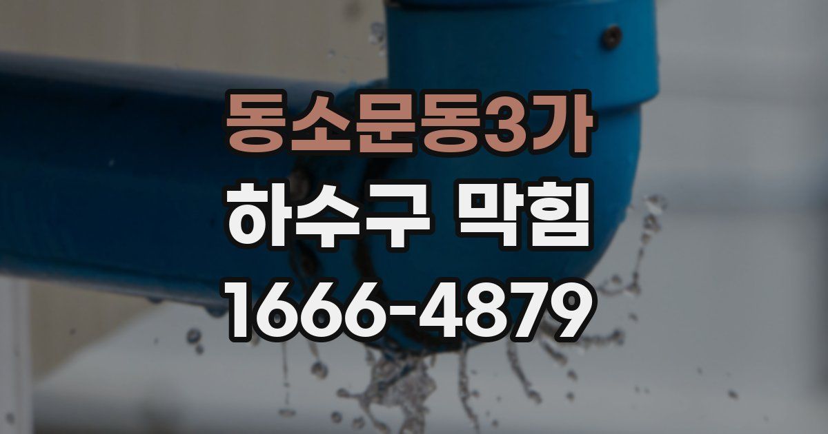 동소문동3가 하수구 막힘