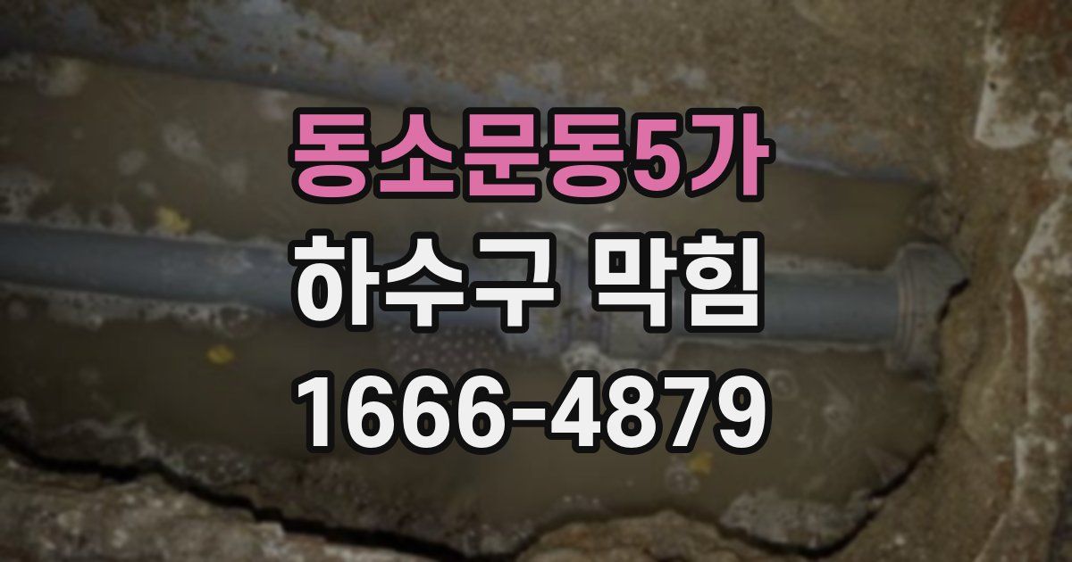 동소문동5가 하수구 막힘