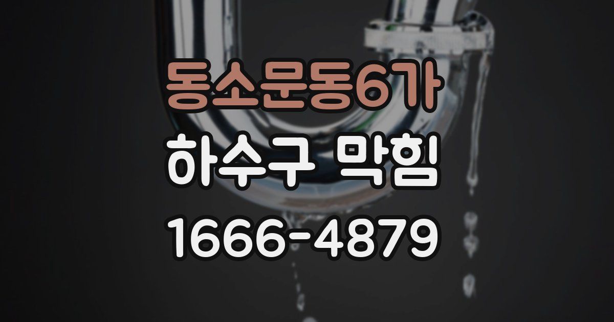 동소문동6가 하수구 막힘