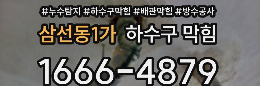 삼선동1가 하수구 막힘