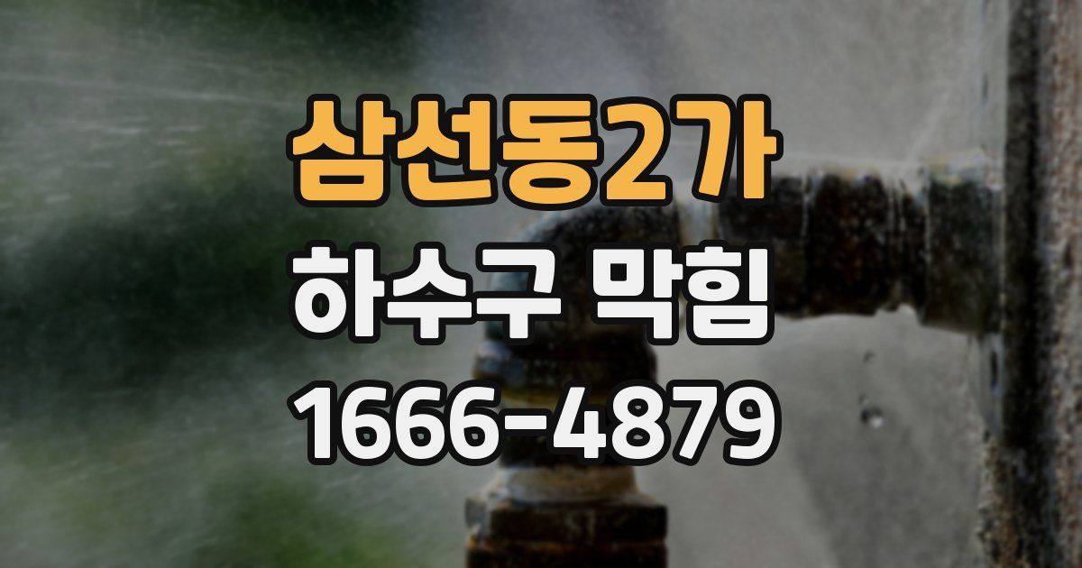 삼선동2가 하수구 막힘