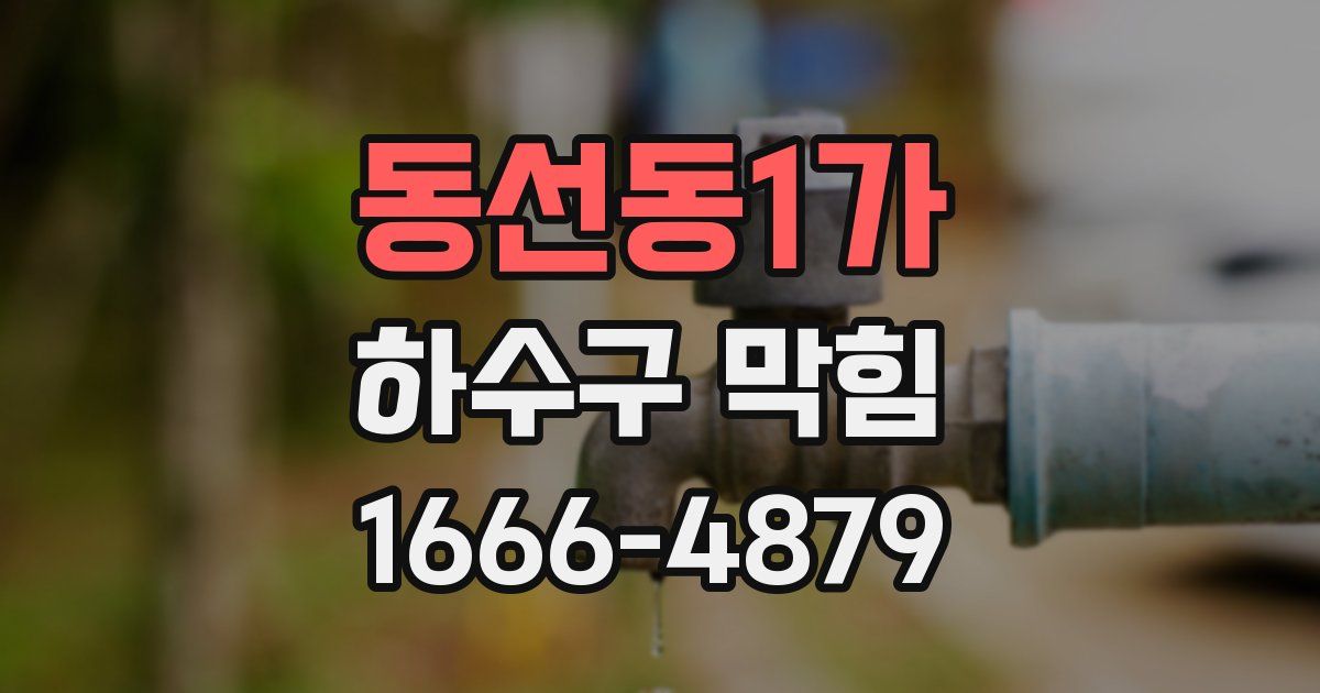 동선동1가 하수구 막힘