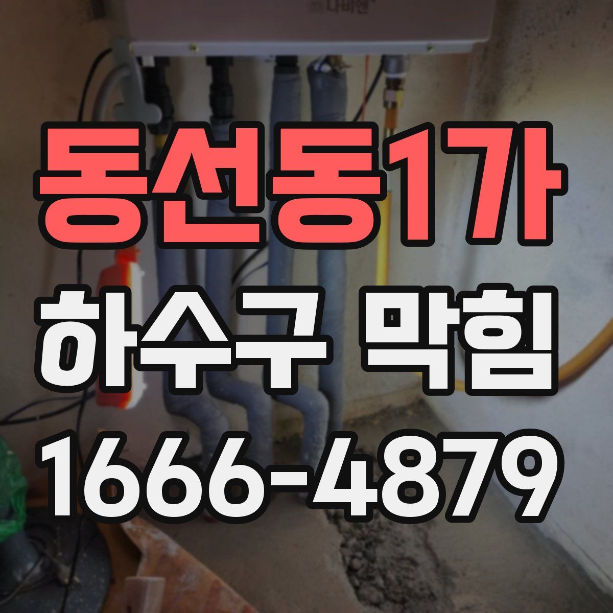 동선동1가 하수구 막힘