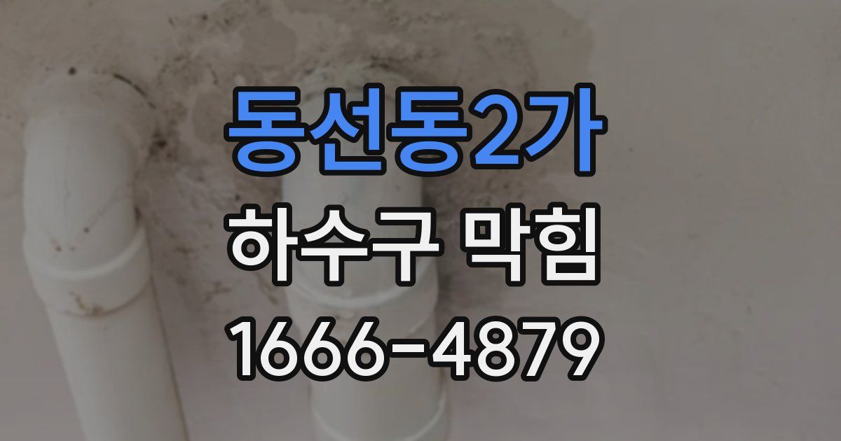동선동2가 하수구 막힘