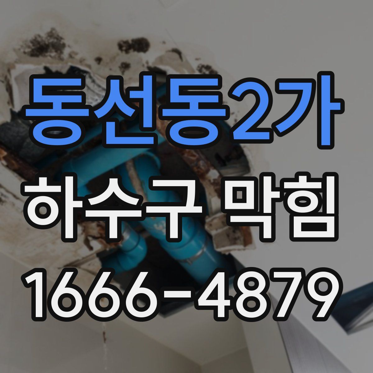 동선동2가 하수구 막힘