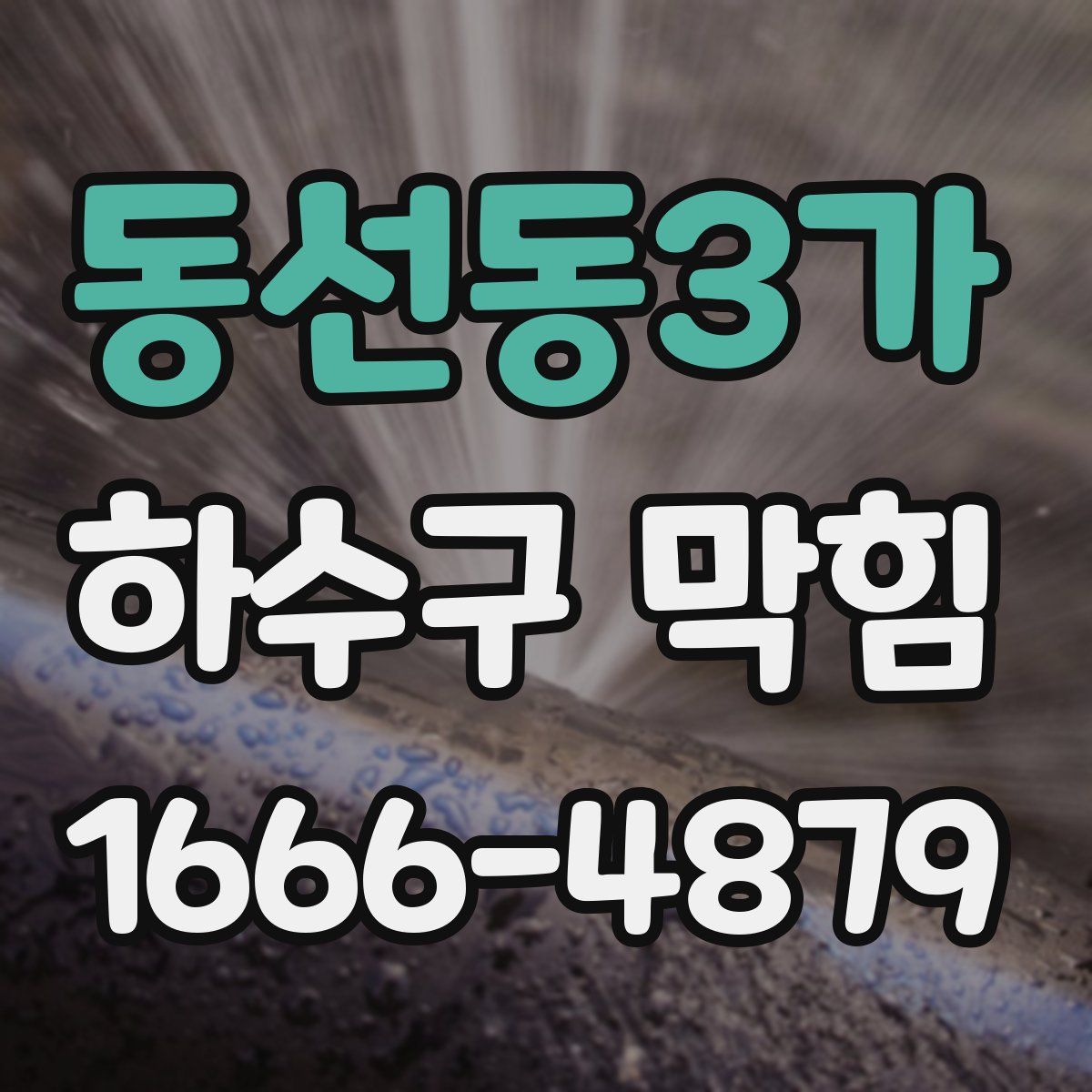동선동3가 하수구 막힘