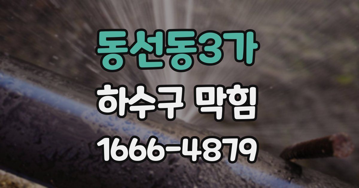 동선동3가 하수구 막힘