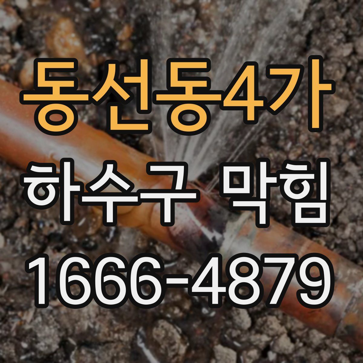 동선동4가 하수구 막힘