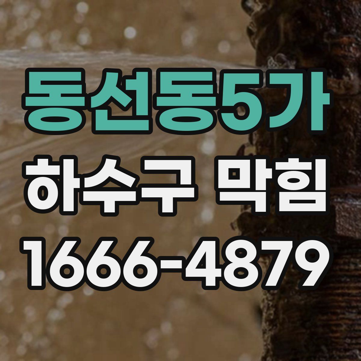 동선동5가 하수구 막힘