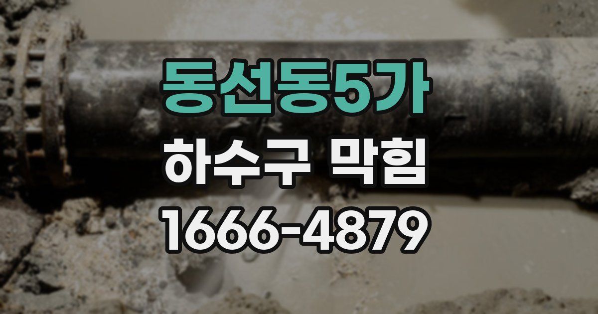 동선동5가 하수구 막힘