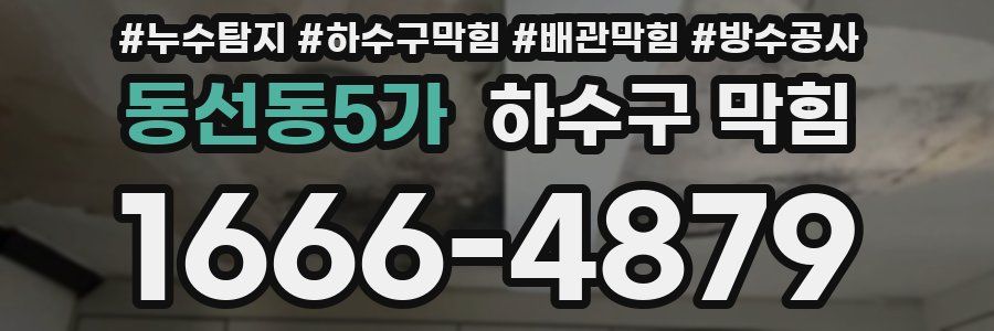 동선동5가 하수구 막힘