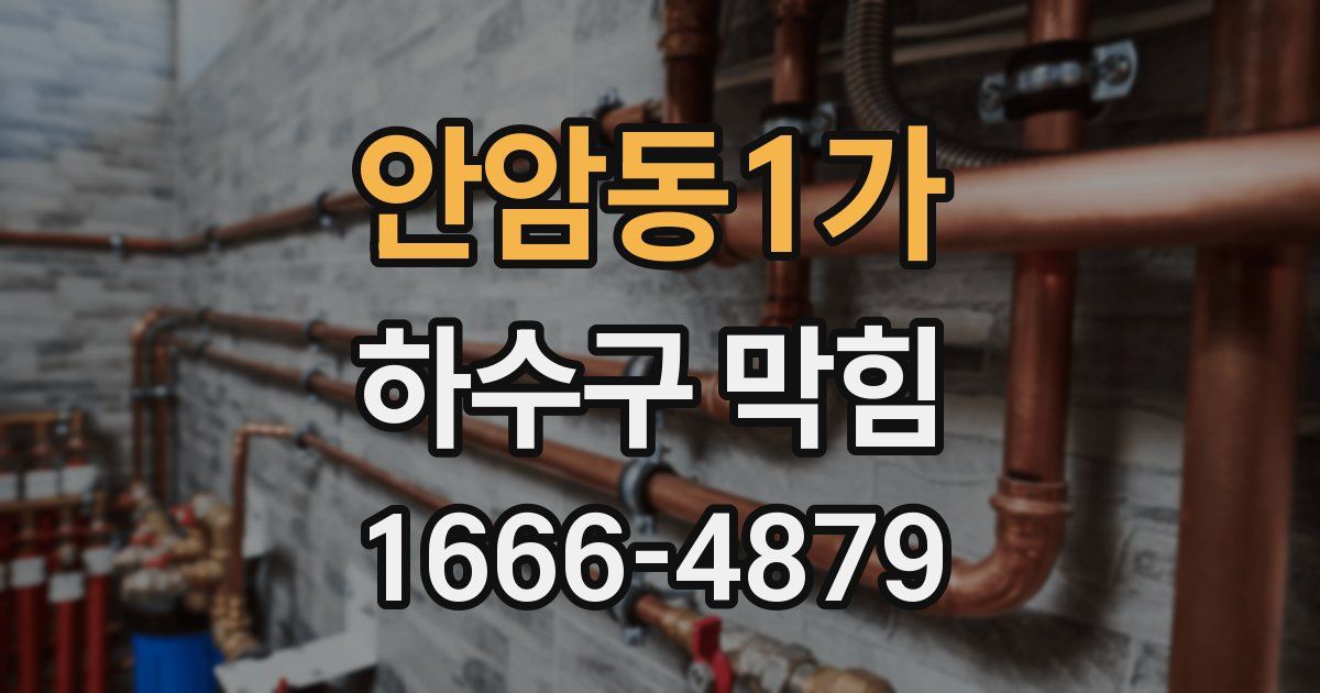 안암동1가 하수구 막힘