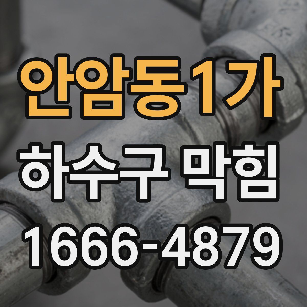 안암동1가 하수구 막힘