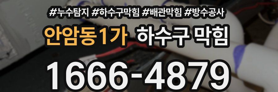 안암동1가 하수구 막힘