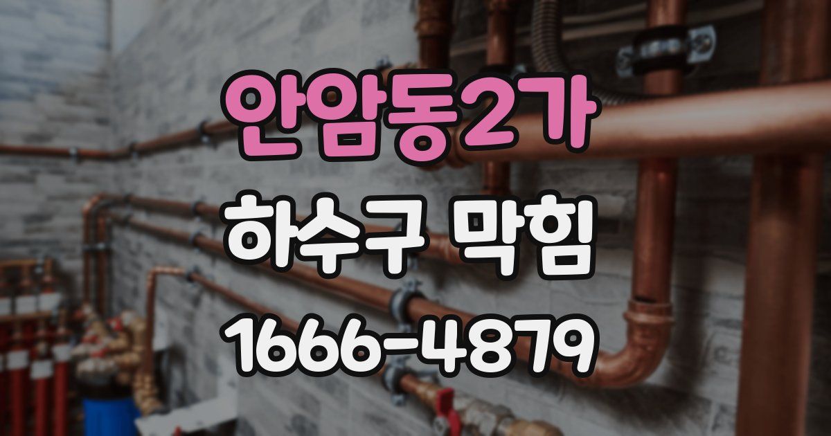 안암동2가 하수구 막힘