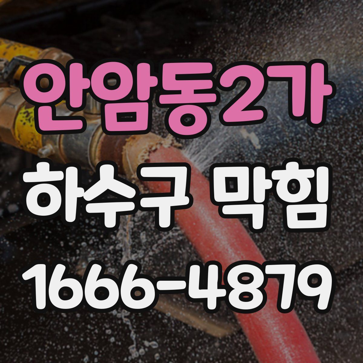 안암동2가 하수구 막힘