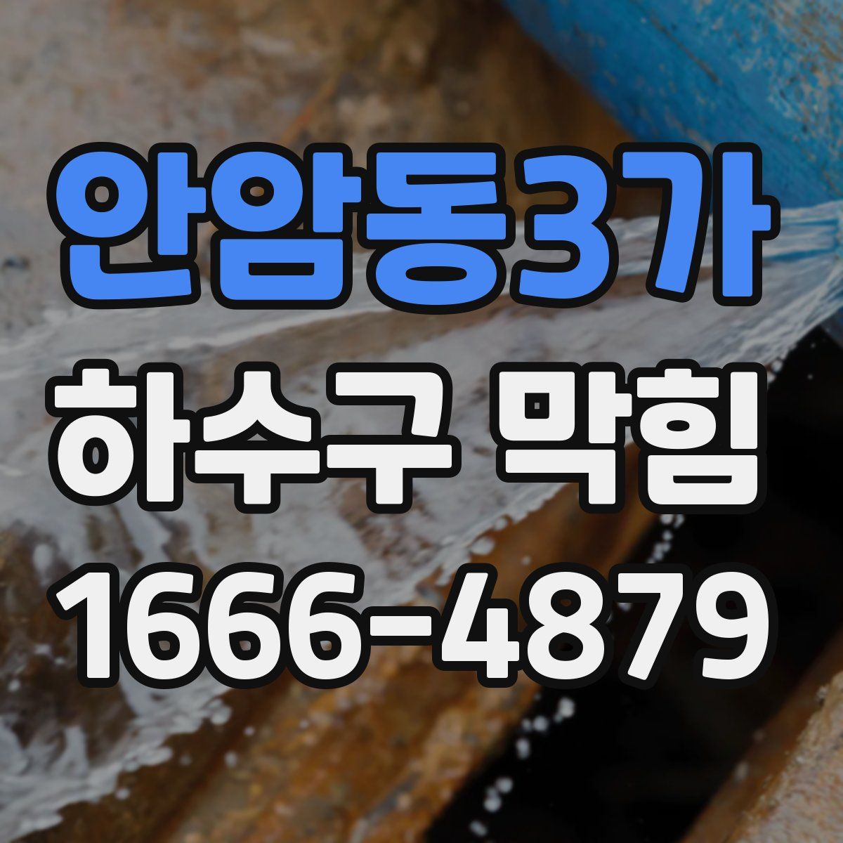 안암동3가 하수구 막힘
