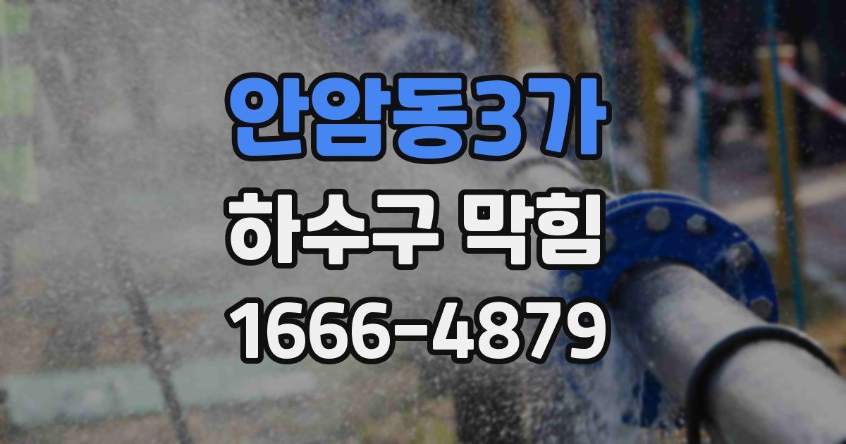 안암동3가 하수구 막힘