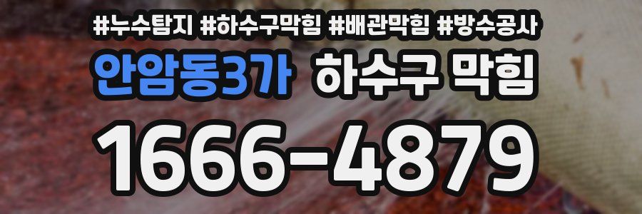 안암동3가 하수구 막힘