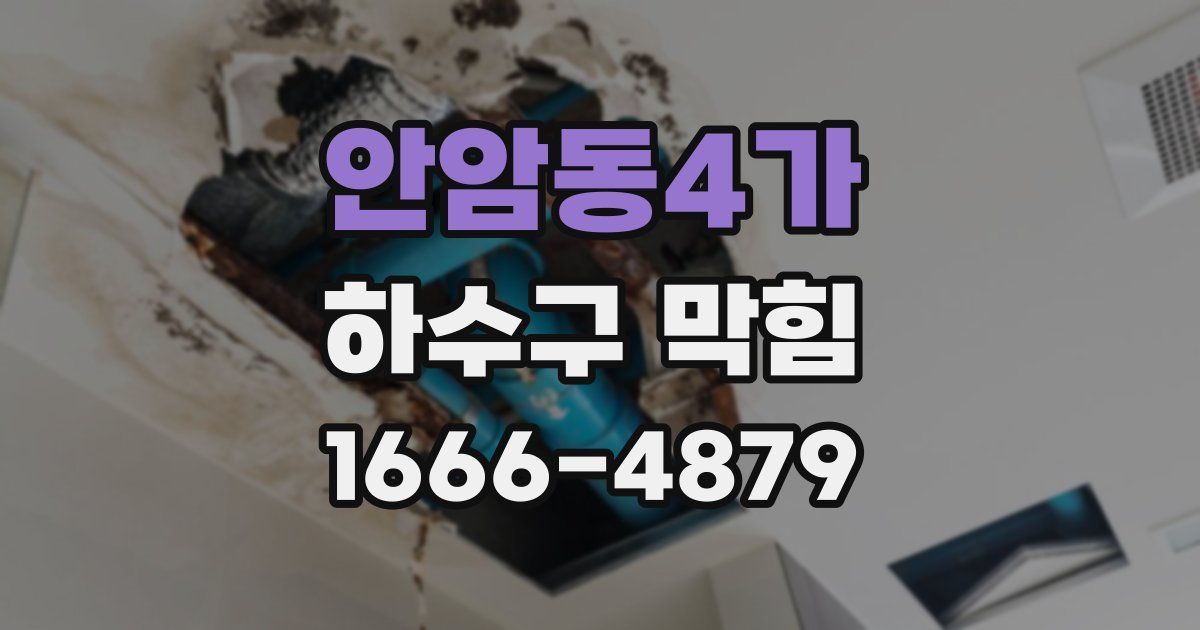안암동4가 하수구 막힘