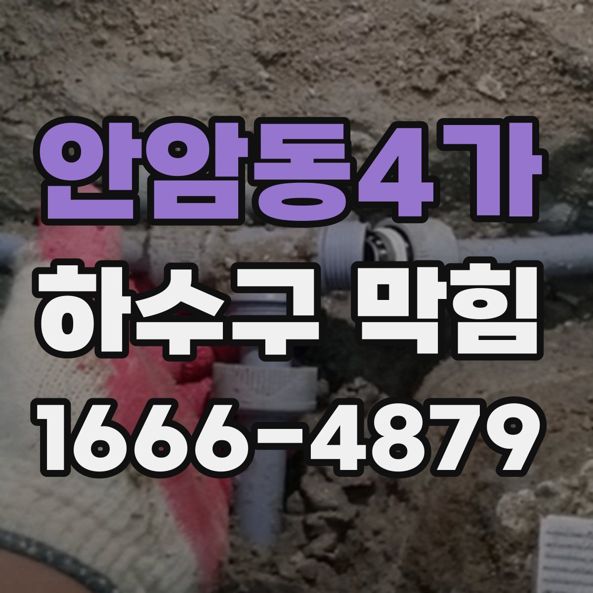 안암동4가 하수구 막힘