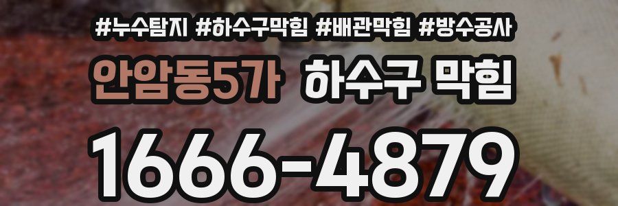 안암동5가 하수구 막힘