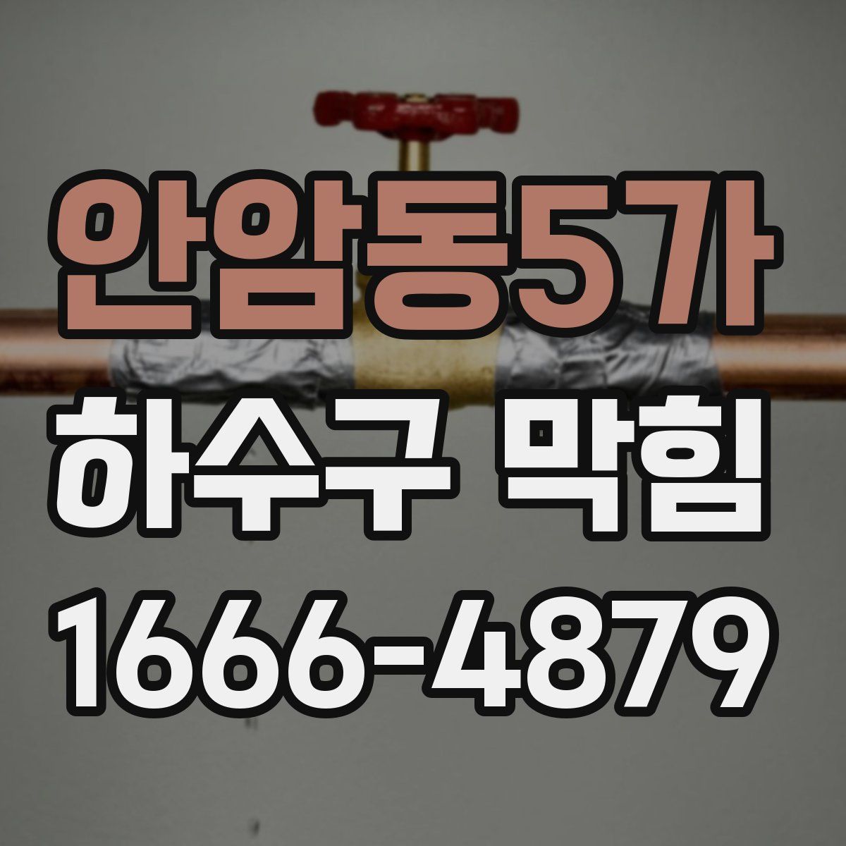안암동5가 하수구 막힘