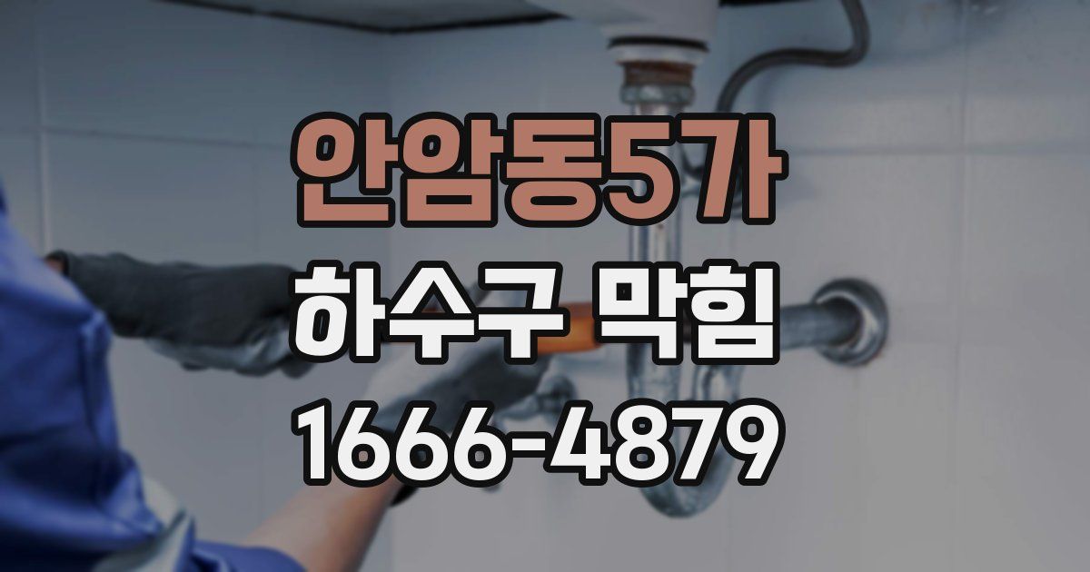 안암동5가 하수구 막힘