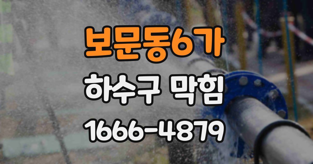 보문동6가 하수구 막힘