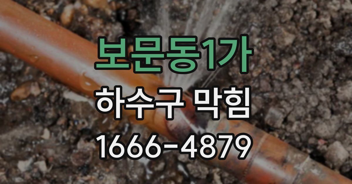 보문동1가 하수구 막힘