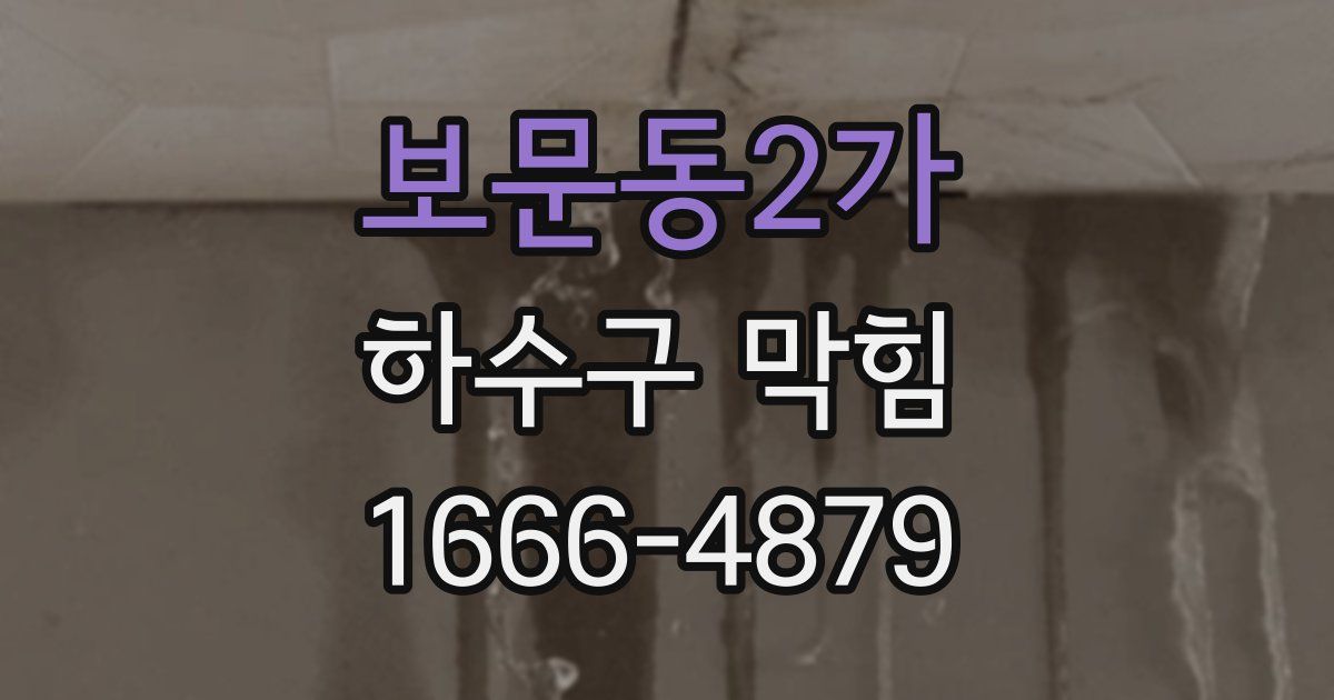 보문동2가 하수구 막힘