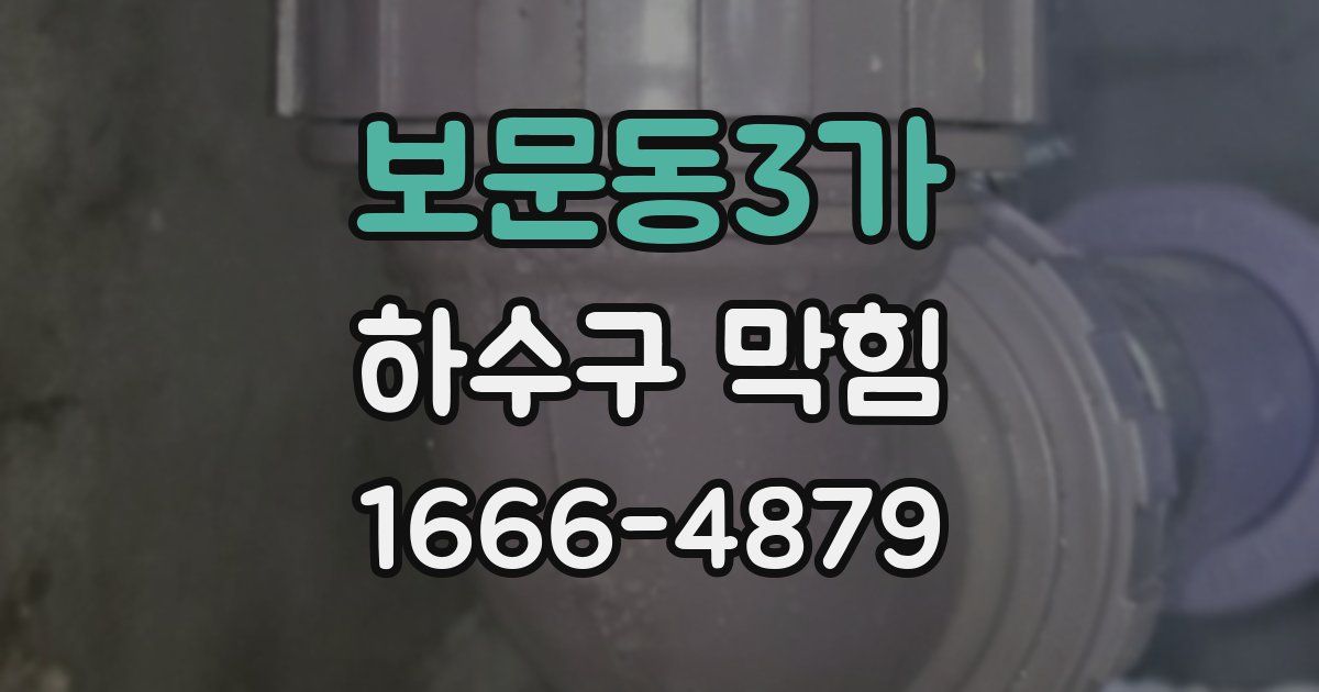 보문동3가 하수구 막힘